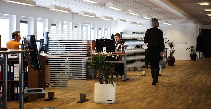 Job: Software Engineer